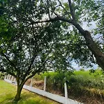 Gospodarstwo wiejskie Maison Situee Aux Confins De La Vallee Du Loir