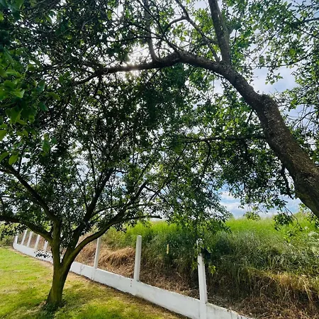 Gospodarstwo wiejskie Maison Situee Aux Confins De La Vallee Du Loir