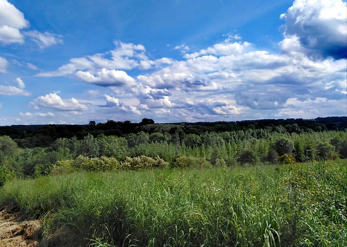 Maison Situee Aux Confins De La Vallee Du Loir Gospodarstwo wiejskie